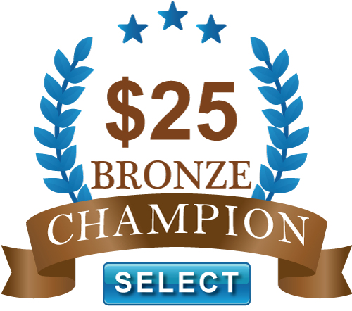 Bronze Champion 500