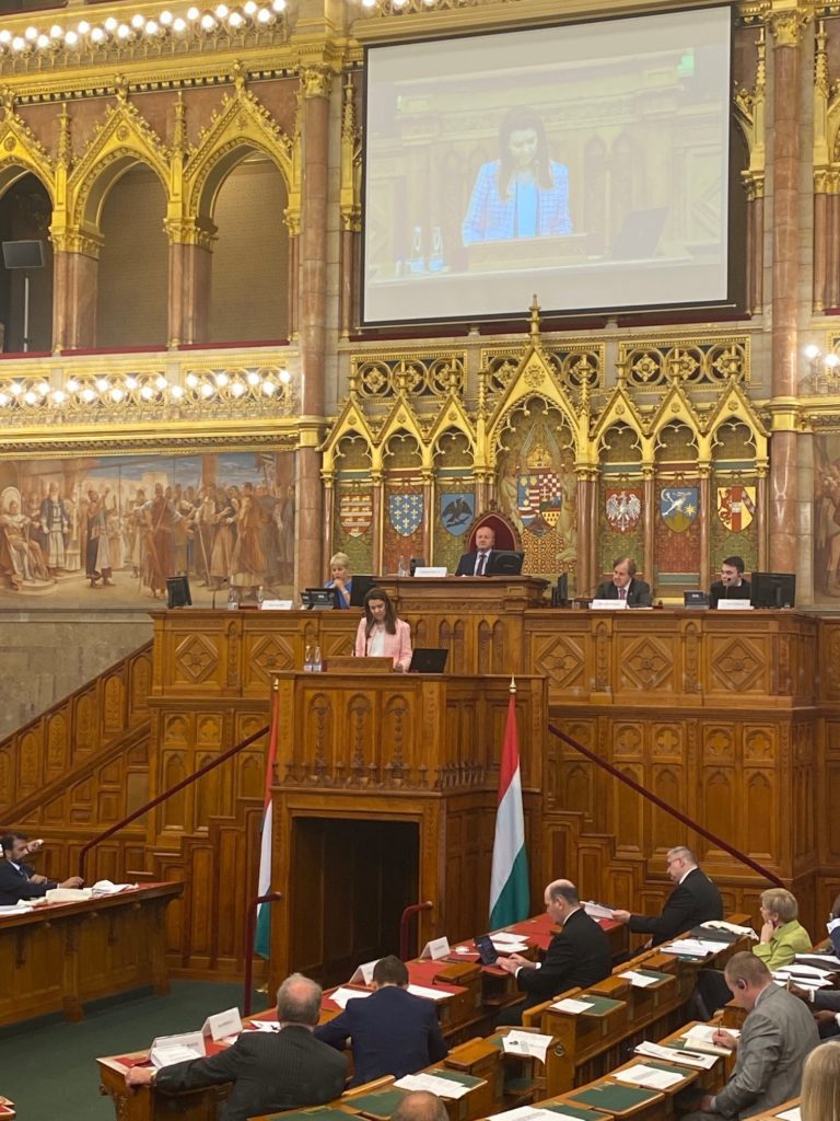 ATI CEO Anne Basham in pink blazer at the podium of the Hungarian Parliament