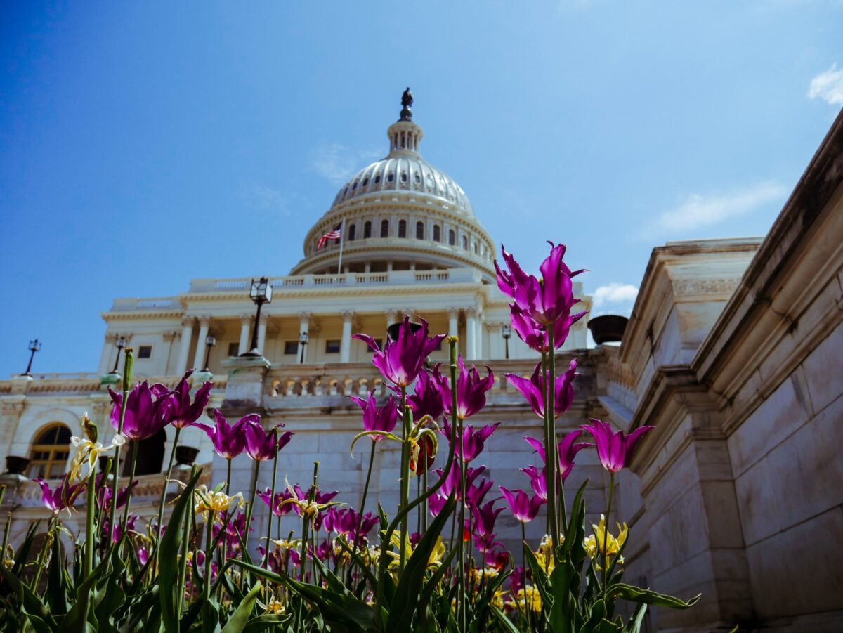Congress-With-Flowers